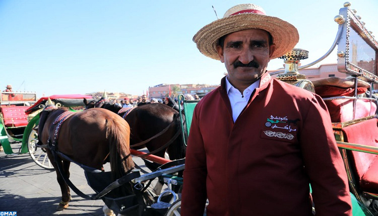 زي موحد لسائقي العربات السياحية المجرورة بالخيول بمراكش