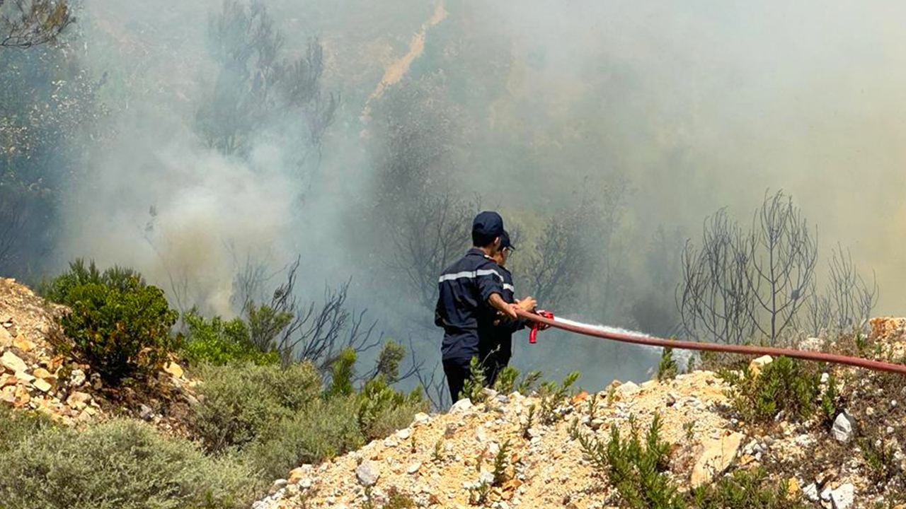 نشرة إنذارية تحذر من حرائق الغابات بطنجة وخنيفرة والعرائش