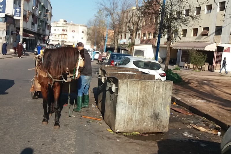 علاش بلدية آسفي ماتديرش بحالهم؟ جماعة الدار البيضاء تفرض على الشركة الجديدة للنظافة دمج “الميخالة” وتشغيلهم